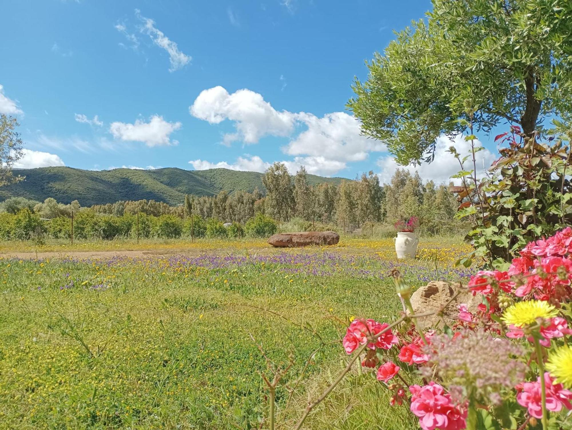 B&B Sensorial Experience Villamassargia ภายนอก รูปภาพ